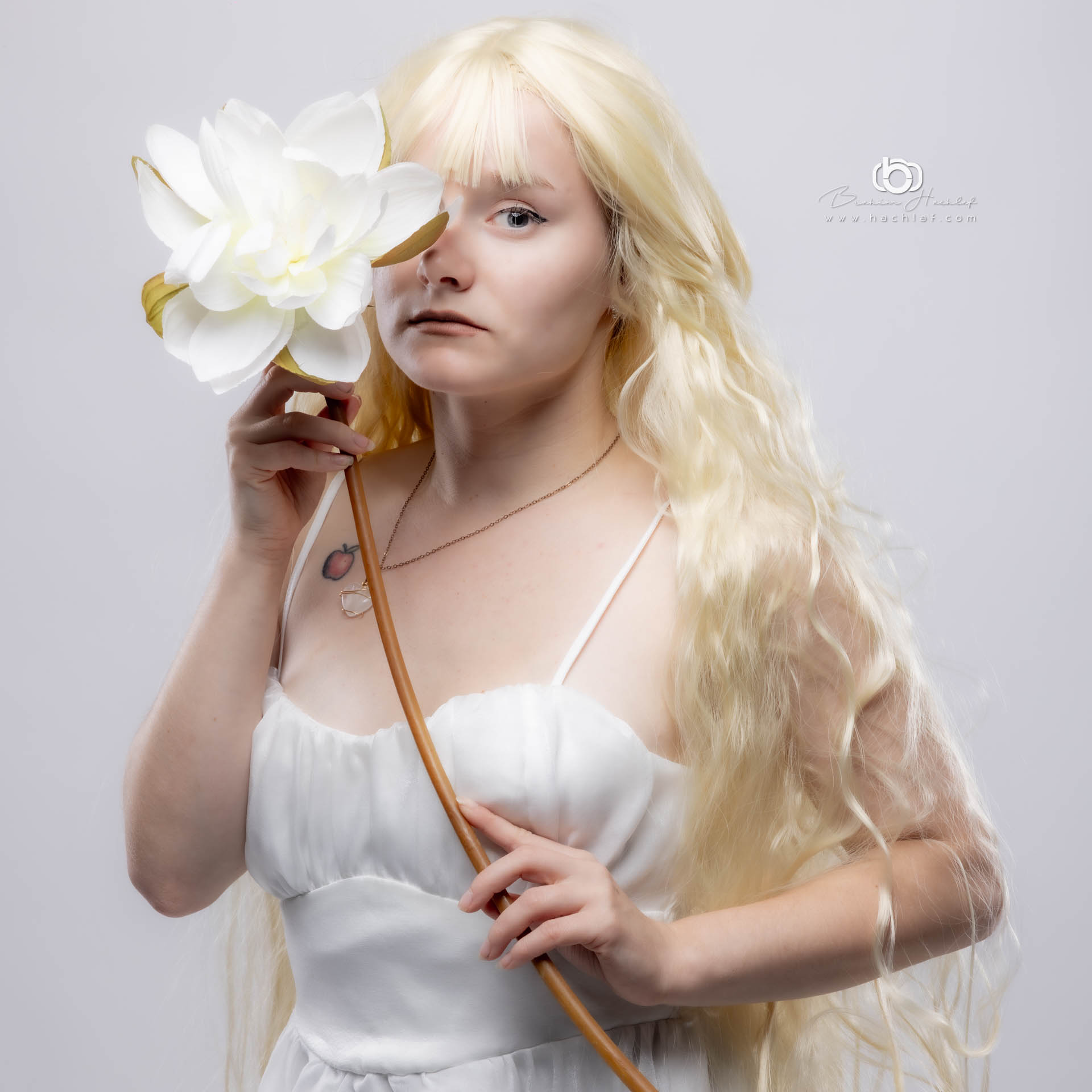 Brahim Hachlaf Studio — Portrait Carquefou